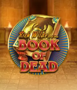 Dive into the thrilling world of Book of Dead by Play'n GO, showcasing vivid graphics of Rich Wilde’s adventurous journey through ancient Egyptian tombs and artifacts. Discover lost riches with captivating mechanics like free spins, expanding icons, and a gamble option. Ideal for adventure enthusiasts with a desire for exciting finds.